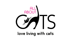 ALL ABOUT CATS
